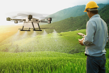 Agriculturist drone fly to spray fertilizer on the rice fields. Agricultural technology concept. - Image