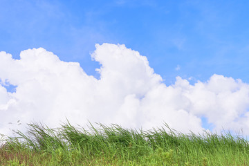 青空　入道雲　背景素材