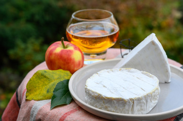 French food, soft cheeses with white mold brie and camembert and golden apple cider from Bretagne served ourdoor in autumn garden