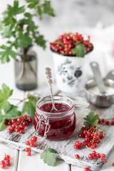 Fresh homemade red currant jam or sauce in a jar, selective focus.