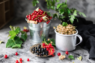 Fresh currants in a ceramic cup: black currants, red currants and white currants, selective focus.
