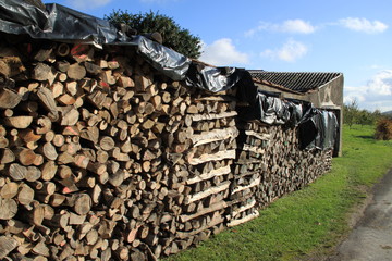 Pile de bois