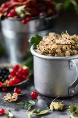 Fresh currants in a ceramic cup: black currants, red currants and white currants, selective focus.