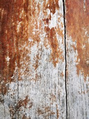 texture of wood old wall