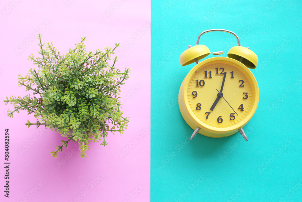 Wall mural clock and plant flat lay background concept design for time work to fresh business.pink and green pa