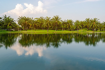 Plakat Palm trees in the lake park In the evening atmosphere with twilight Suitable for relaxation.