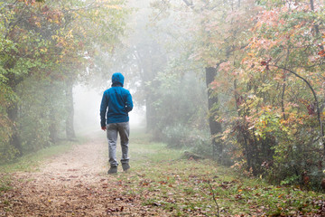 Walking on the road between trees with the fog