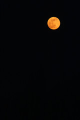 red moon black sky
