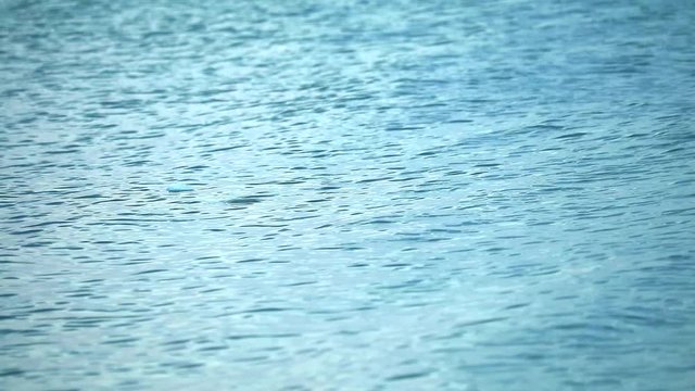 Shockproof foam was thrown into the sea and floated on the water surface