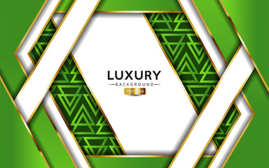 luxurious premium green abstract background with golden lines. Overlap textured layer design.