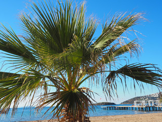 Fototapeta premium Bodrum - Strand in Turgutreis