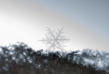 photo real snowflakes during a snowfall, under natural conditions at low temperature
