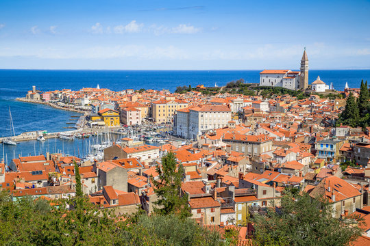 Koper Slovenia Images – Browse 1,622 Stock Photos, Vectors, and Video |  Adobe Stock