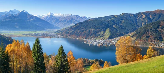 Poster Panoramisch uitzicht op prachtige herfstscène in de Alpen met kristalhelder Zeller-meer, gouden bladeren en beroemde Kitzsteinhorn op een zonnige dag met blauwe lucht in de herfst, Zell am See, Salzburger Land, Oostenrijk © Shambhala
