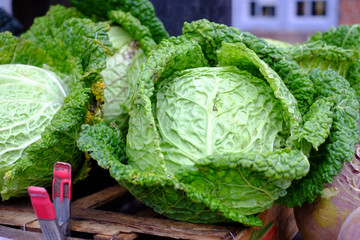Wirsing - Gesundes Gem&uuml;se f&uuml;r den Winter