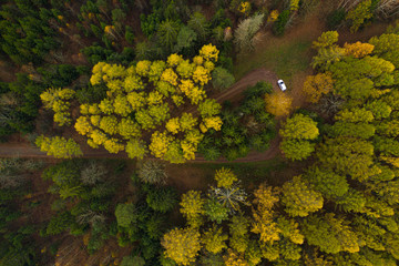 Aerial: white car at rural forest parking in autumn
