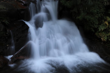 Fototapeta premium 秋の深山峡