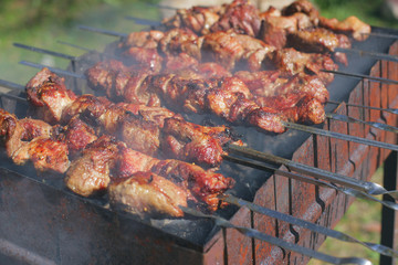 Grilled kebab cooking on metal skewer.Outdoor picnic.