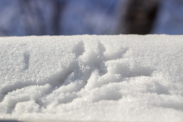 Fototapeta na wymiar Bird tracks in the snow. Snow near the window.