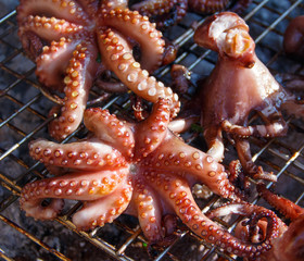 Grilled octopuses cooking on a metal grill close up