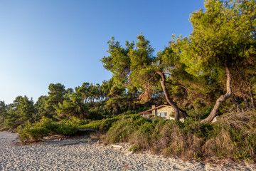 Cute small house standing in scenic place of summer beach. Building hiding among old green trees....