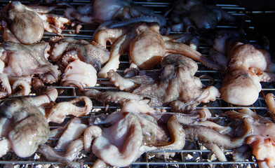 Grilled octopuses cooking on a metal grill close up