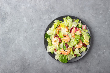 Vegetable salad with shrimp, sesame seeds, iceberg lettuce, romaine and radicchio salad on gray stone background. Healthy food. Top view with copy space.