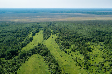 aerial photography landscape green forest and fields