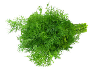 Fototapeta premium bunch fresh green dill isolated on white background
