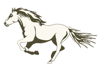 Silhouette of a horse on a white background. Side view. Flat vector.