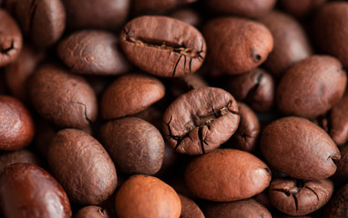 Close up coffee beans. Macro photography.