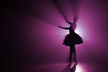 Silhouette of fairy girl dancing ballet in tutu on stage in front of spotlight with colored pink...