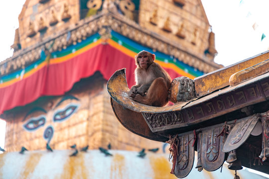 Swayambhunath Stupa, aka The Monkey Temple, during sunrise in Kathmandu, Nepal. A UNESCO Heritage Site. Ancient ruins and stone temples.