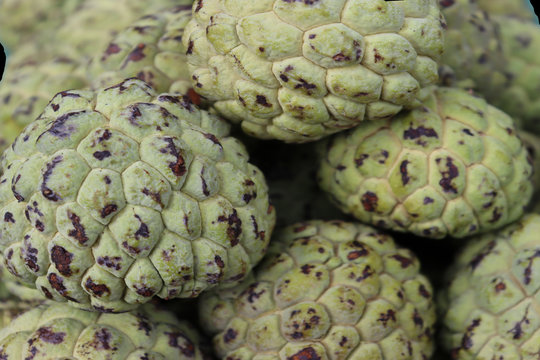Fresh custard apple in Indian market yelagiri