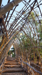 bamboo aisle architecture