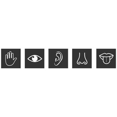 five sense icon vector design symbol