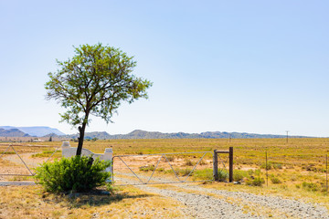 Fototapeta na wymiar Farm gate and fence in ruralarea of South Africa