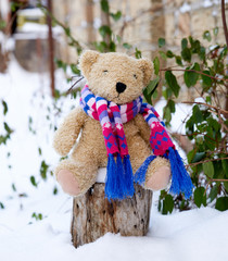 Brown children`s soft toy bear in a bright knitted scarf sitting on a stump