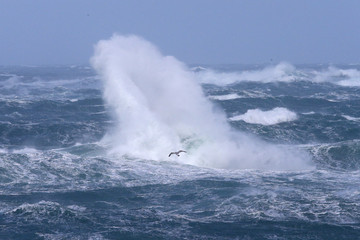 Tempête en Bretagne