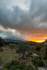 Beautiful sunset over the mountains of Mallorca