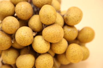 longan fresh fruit of Thailand on yellow background
