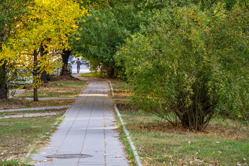 Fototapeta na wymiar Beautiful autumn path in the city, colorful trees, beauty in nature