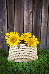 A bouquet of large sunflowers in a straw bag is standing near a wooden house.