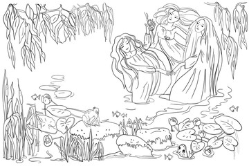 Evening pond, mermaids with long beautiful hair, willow branches, river plants and flowers, frogs, mermaids dance, vector illustration, outline drawing, coloring book