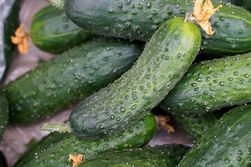 fresh cucumbers on wooden background