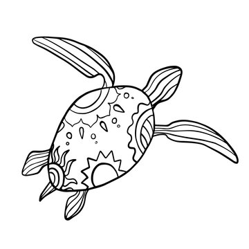  vector illustration of a turtle, on a white background, black and white drawing, meditation