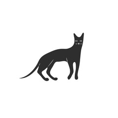 Cute character black icon of cat. Abyssinian breed.