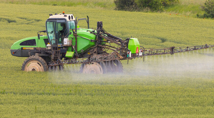 Fototapeta premium Spring chemical treatment of cereals