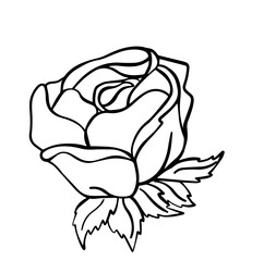  vector illustration coloring flower rose isolated on white background