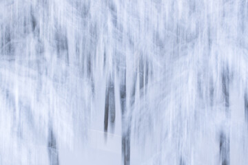 Fototapeta na wymiar Motion blur dreamy forest in winter with snow